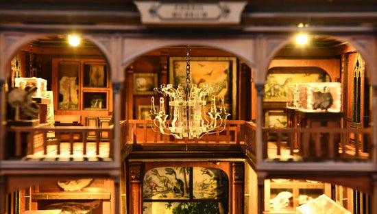 Fossil Museum Natural History miniature scene illuminated by warm LED lights