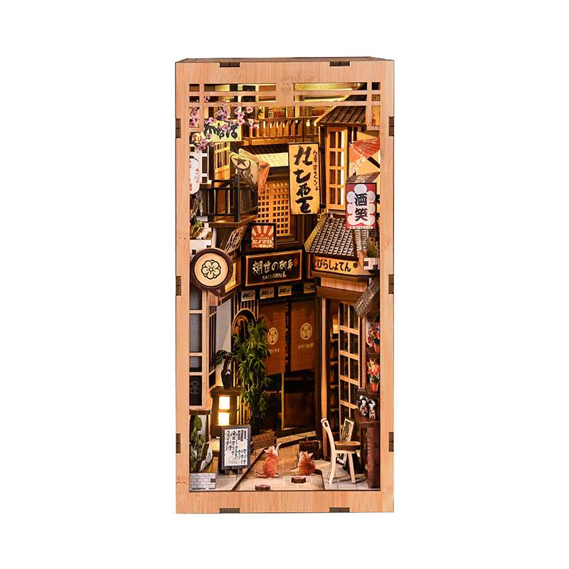 Cat Alley House DIY Book Nook Kit